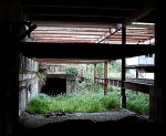 Redfern's Disused platforms