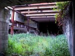 Redfern's Disused platforms