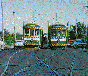 [Link to picture of two Bendigo trams]