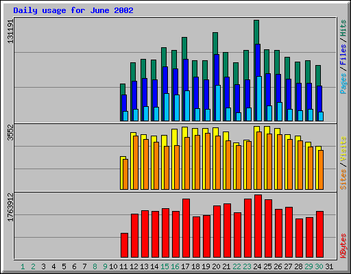 Daily usage for June 2002