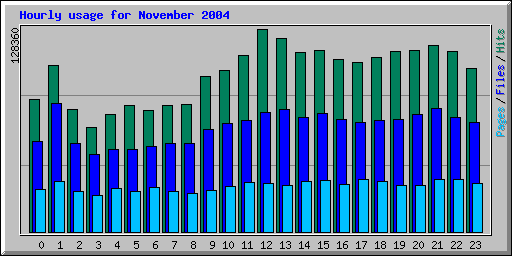 Hourly usage for November 2004