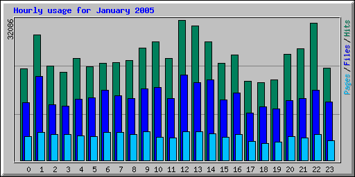 Hourly usage for January 2005